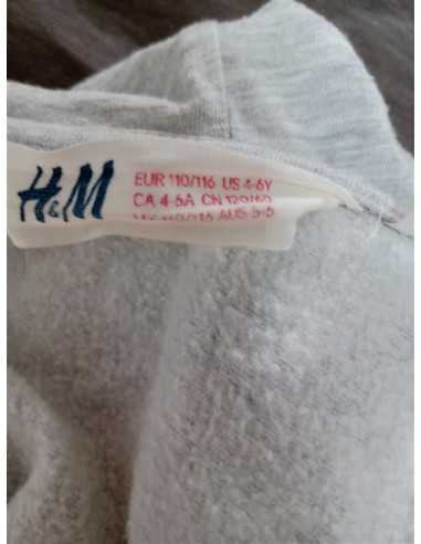 Hanorac gri vatuit cu imprimeu Ana si Elsa H&M