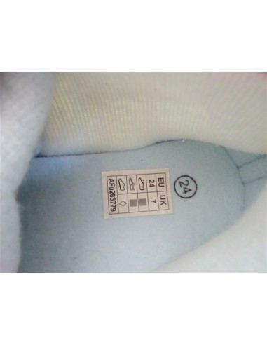 Botosi pentru fetite cu catelusul cu coronita